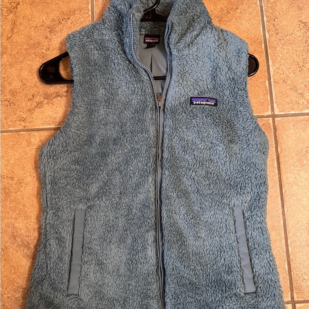 Patagonia Blue Fleece Vest